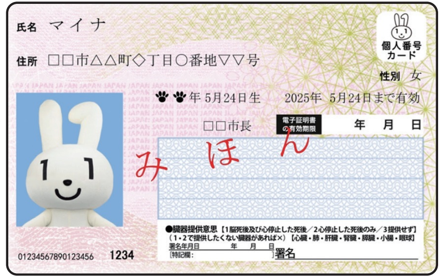 マイナ保険証見本.png