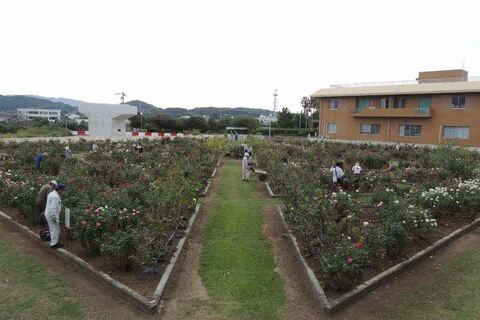 1竭＿蜈ィ譎ッDSCN9792.jpg