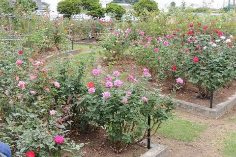 7竭ヲ笳汽SCN0052.jpg