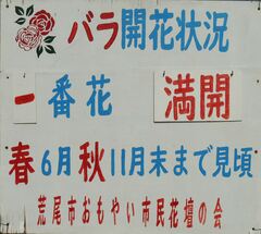 DSCN9797.JPG