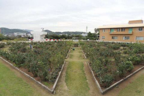 1全景DSCN9789.jpg