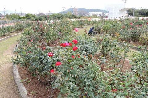 2SCN9882.jpg