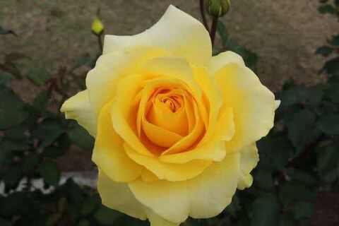 6DSCN9857.jpg