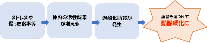 動脈硬化の図.png