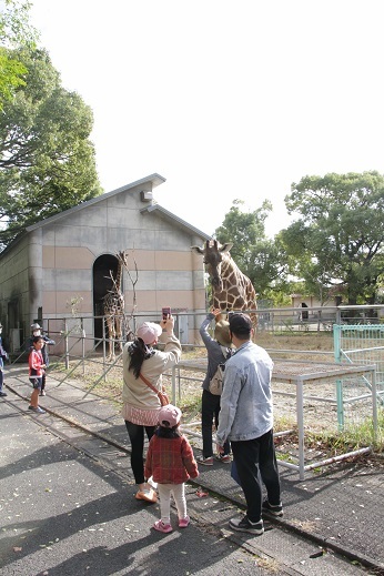 大牟田市動物園【展望デッキ】・ともだちや絵本美術館