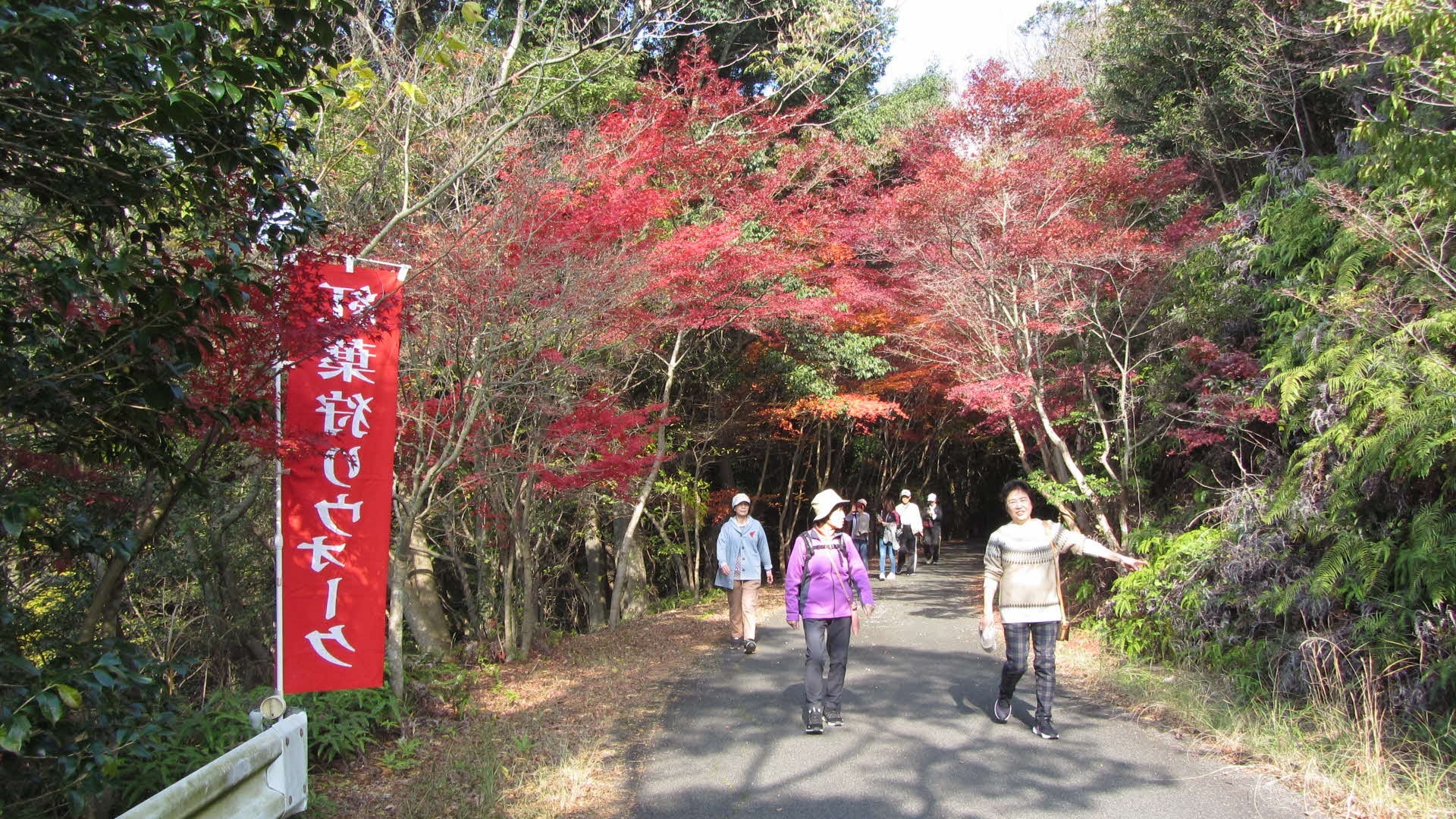 紅葉狩りウォーク2.jpg